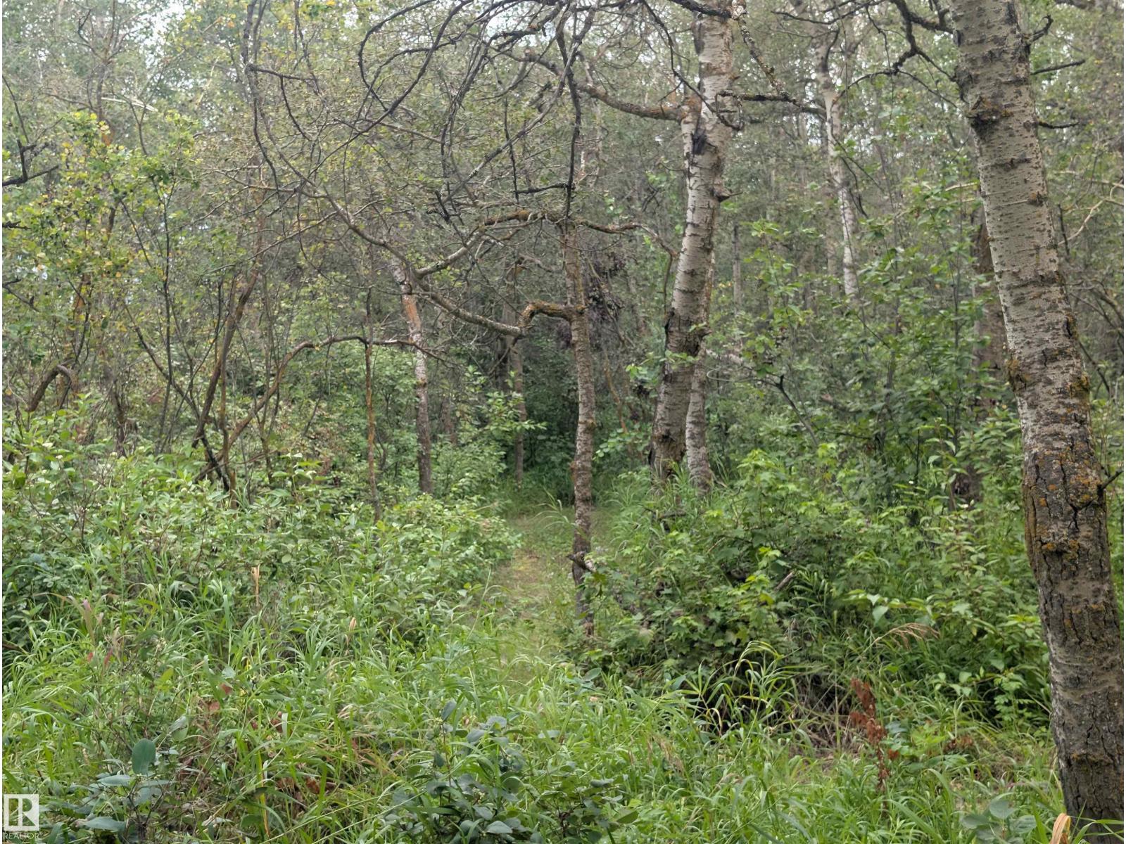 535017 RGE RD 174 - 25