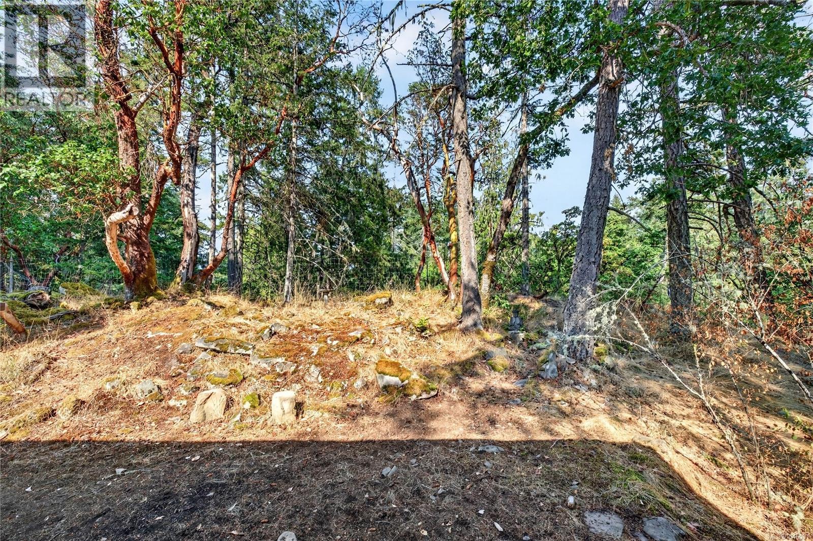380 Langs Rd - 30