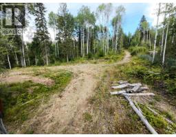 5788 Quesnel-hixon Road, Quesnel, BC V2J6Y4 Photo 16