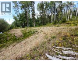 5788 Quesnel-hixon Road, Quesnel, BC V2J6Y4 Photo 17
