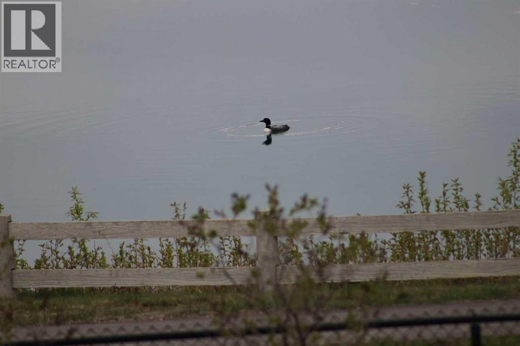 31 Montenaro Bay - Photo 48