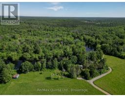 74 French Settlement Lane, Tweed), ON K0K3J0 Photo 47