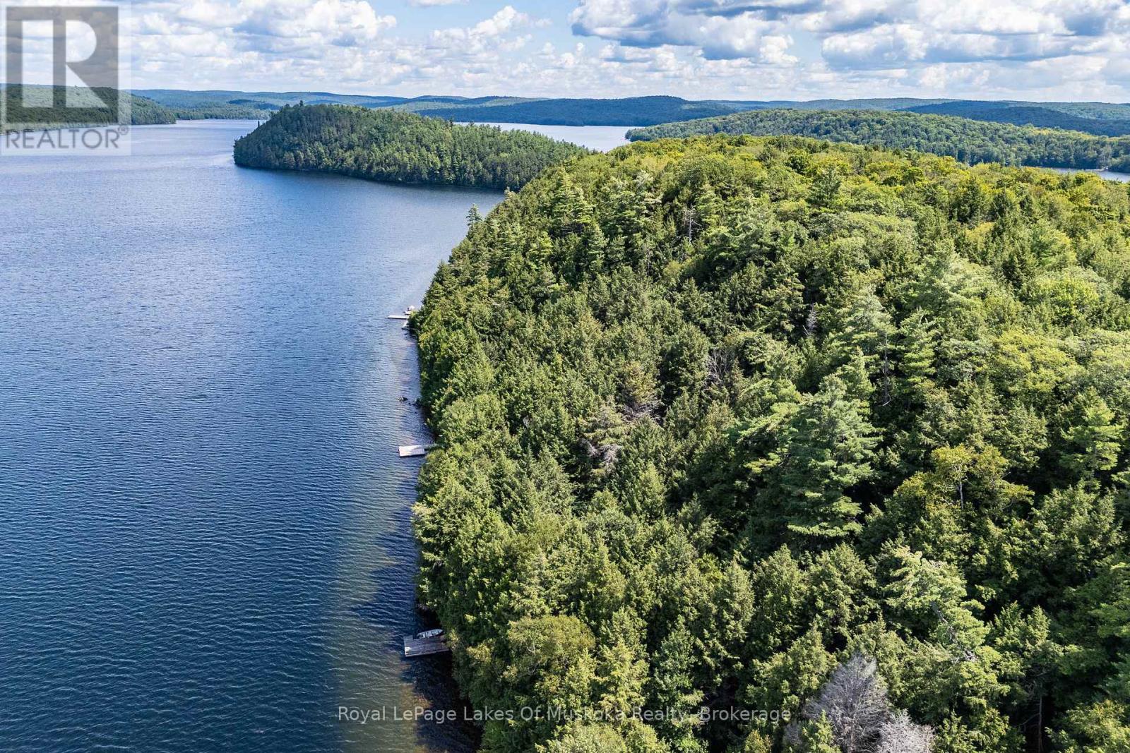 14170 KAWAGAMA LONG ISLAND - Image 39