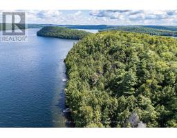 14170 Kawagama Long Island, Algonquin Highlands, ON P0A1E0 Photo 39