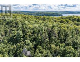 14170 Kawagama Long Island, Algonquin Highlands, ON P0A1E0 Photo 41