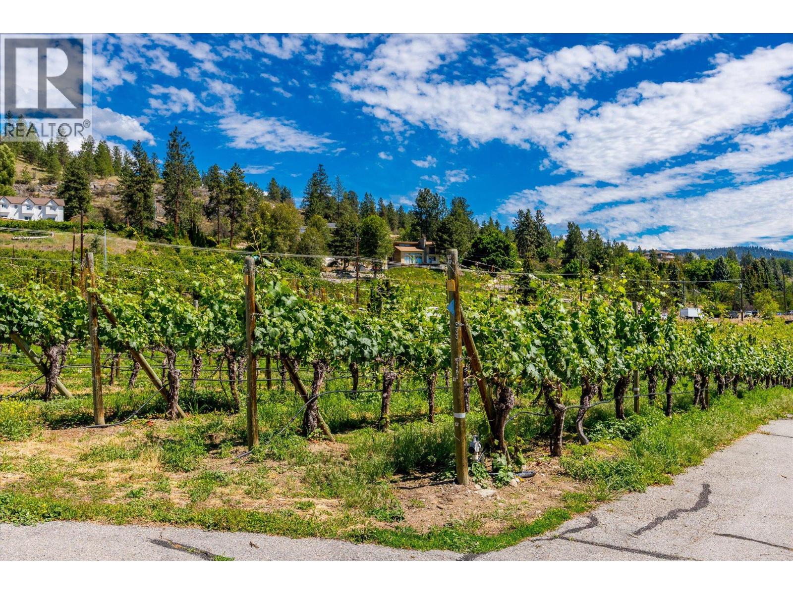 1055 Pearson Road - 59