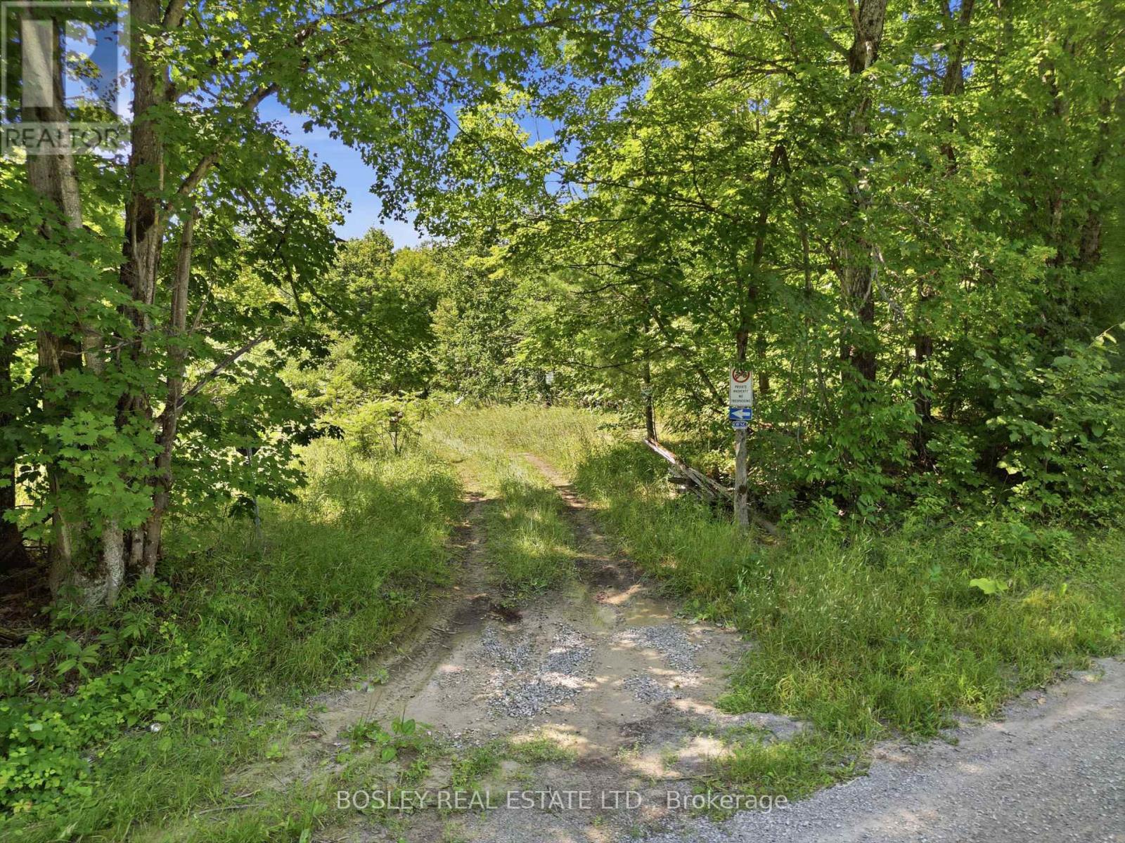 11 BUTTERMILK LANE - 2