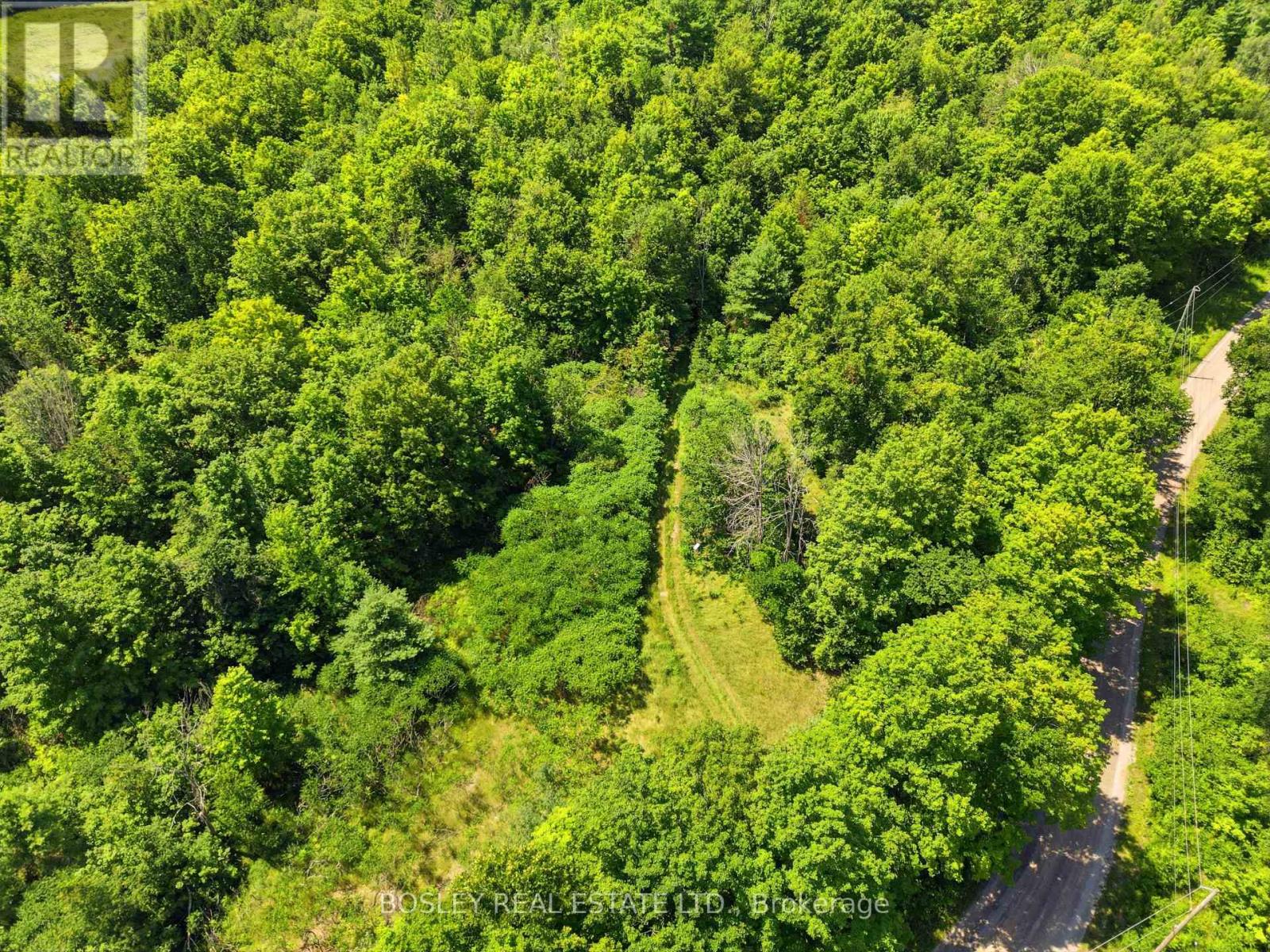 11 BUTTERMILK LANE - 40