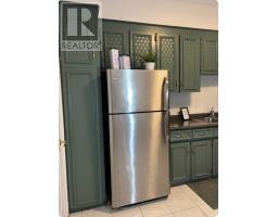 Main - 132 Grace Street, Toronto, ON M6J2S2 Photo 6