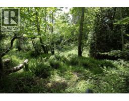 8127 Redrooffs Road, Halfmoon Bay, BC V7Z1A7 Photo 13