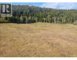 3969 95 Highway, Golden, BC V0A1L0 Photo 6