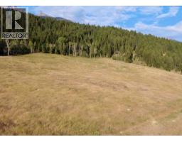 3969 95 Highway, Golden, BC V0A1L0 Photo 7
