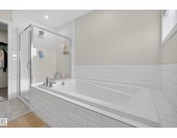 19286 22a Av Nw, Edmonton, AB T6M1P8 Photo 25