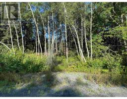 Lot 14 Eastern Shore Road, Port Medway, NS B0J2T0 Photo 6