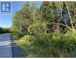 Lot 14 Eastern Shore Road, Port Medway, NS B0J2T0 Photo 7