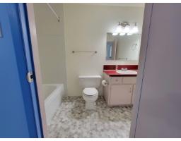 14741 101a Avenue, Surrey, BC V3R7E7 Photo 21
