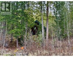 Lot 9 Pete Martin Bay, Sicamous, BC V0E2V0 Photo 12