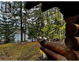 Lot 9 Pete Martin Bay, Sicamous, BC V0E2V0 Photo 41