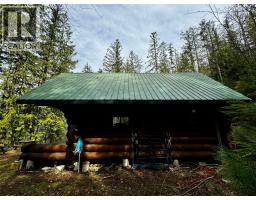 Lot 9 Pete Martin Bay, Sicamous, BC V0E2V0 Photo 28