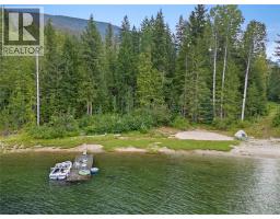 Lot 9 Pete Martin Bay, Sicamous, BC V0E2V0 Photo 47