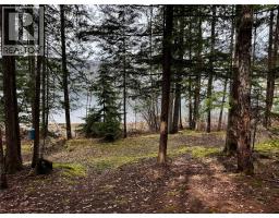 Lot 9 Pete Martin Bay, Sicamous, BC V0E2V0 Photo 38