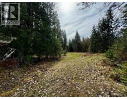 Lot 9 Pete Martin Bay, Sicamous, BC V0E2V0 Photo 36