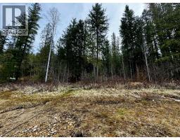 Lot 9 Pete Martin Bay, Sicamous, BC V0E2V0 Photo 11