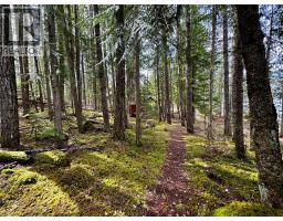 Lot 9 Pete Martin Bay, Sicamous, BC V0E2V0 Photo 30