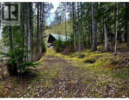 Lot 9 Pete Martin Bay, Sicamous, BC V0E2V0 Photo 13