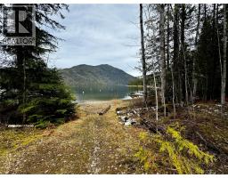 Lot 9 Pete Martin Bay, Sicamous, BC V0E2V0 Photo 37