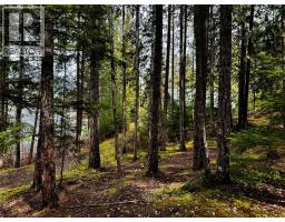 Lot 9 Pete Martin Bay, Sicamous, BC V0E2V0 Photo 39