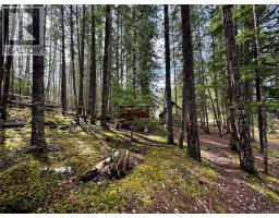 Lot 9 Pete Martin Bay, Sicamous, BC V0E2V0 Photo 32