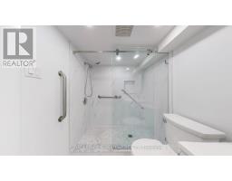 Lower - 247 Palmerston Avenue, Toronto, ON M6J2J3 Photo 8