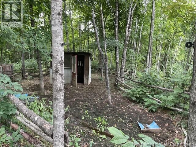 64 Teed Road - 17