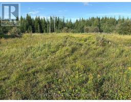 (moonbeam) - 341 Highway 11 Highway W, Kapuskasing, ON P0L1V0 Photo 6