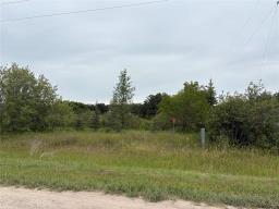 0 Lot 2 First Street S, Beausejour, MB R0E0C0 Photo 8