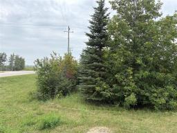 0 Lot 2 First Street S, Beausejour, MB R0E0C0 Photo 14