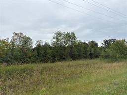 0 Lot 2 First Street S, Beausejour, MB R0E0C0 Photo 9