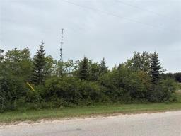 0 Lot 2 First Street S, Beausejour, MB R0E0C0 Photo 7