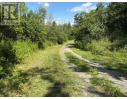 3530 Audley Road, Pickering, ON L1X2V9 Photo 15