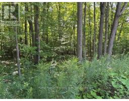3530 Audley Road, Pickering, ON L1X2V9 Photo 10