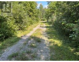 3530 Audley Road, Pickering, ON L1X2V9 Photo 16