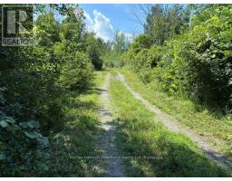 3530 Audley Road, Pickering, ON L1X2V9 Photo 11
