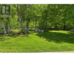 21 Nonquon Drive, Kawartha Lakes, ON L0C1G0 Photo 37