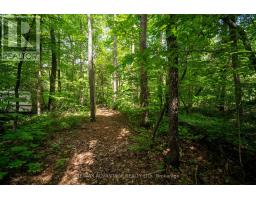 263 Ontario Street S, Lambton Shores, ON N0M1T0 Photo 42