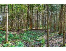 400 Chetwynd Road, Armour, ON P0A1C0 Photo 41