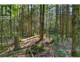 400 Chetwynd Road, Armour, ON P0A1C0 Photo 42