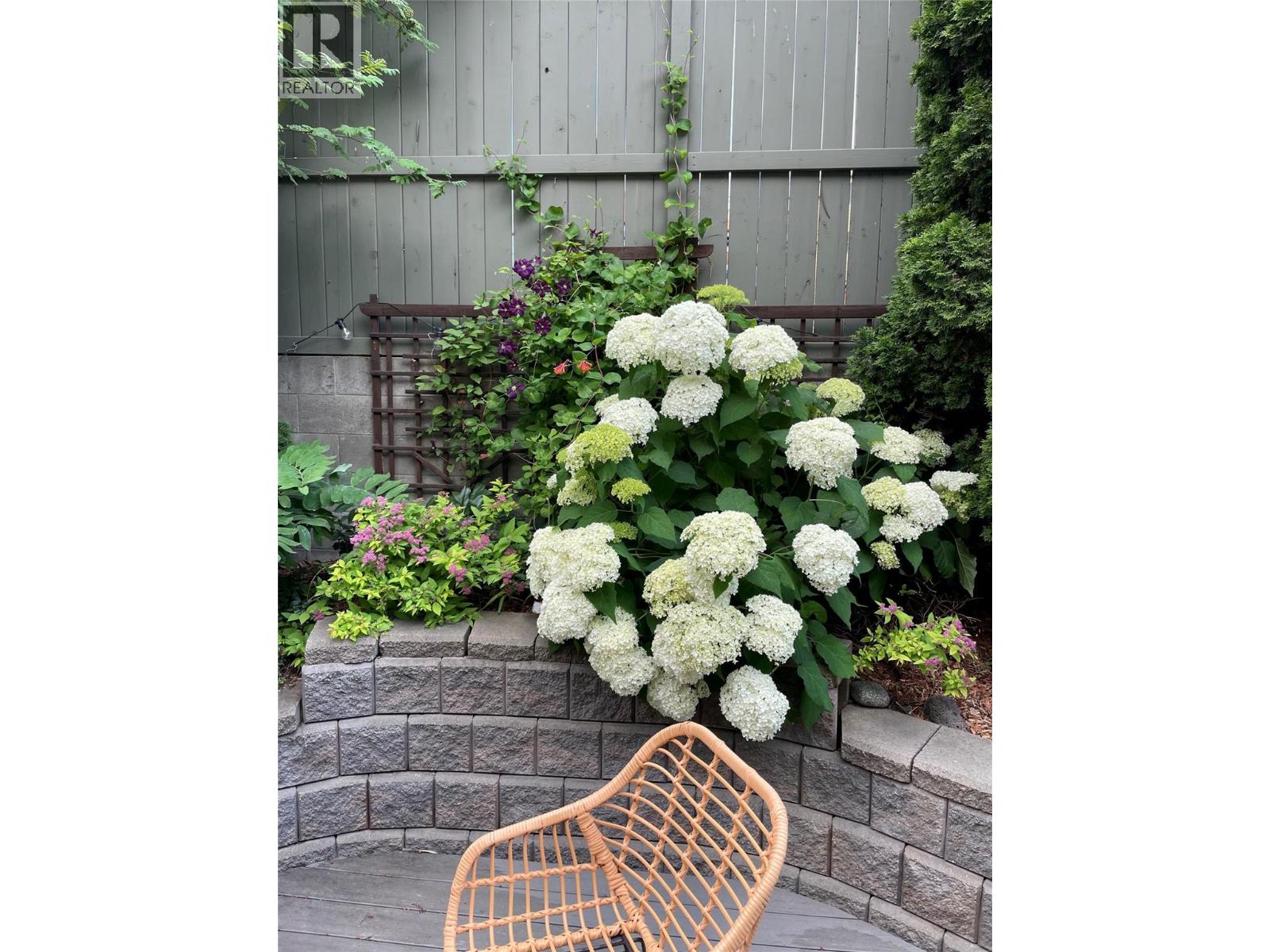 #14 145 NICOLA Street - 35