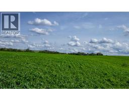 Ne-36-50-8-w4, Rural Minburn No  27, County Of, AB T0B3B0 Photo 30