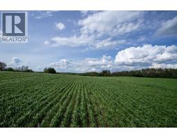 Ne-36-50-8-w4, Rural Minburn No  27, County Of, AB T0B3B0 Photo 31